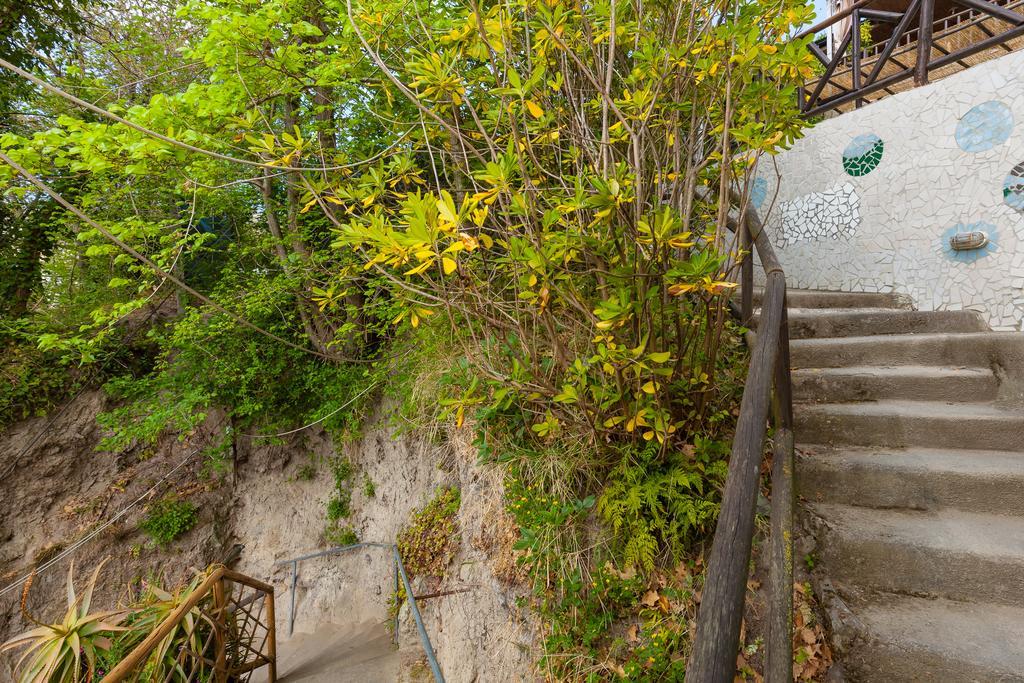 Nitrodi Experience Guest House Barano d'Ischia Exterior photo