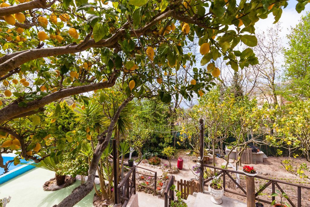 Nitrodi Experience Guest House Barano d'Ischia Exterior photo