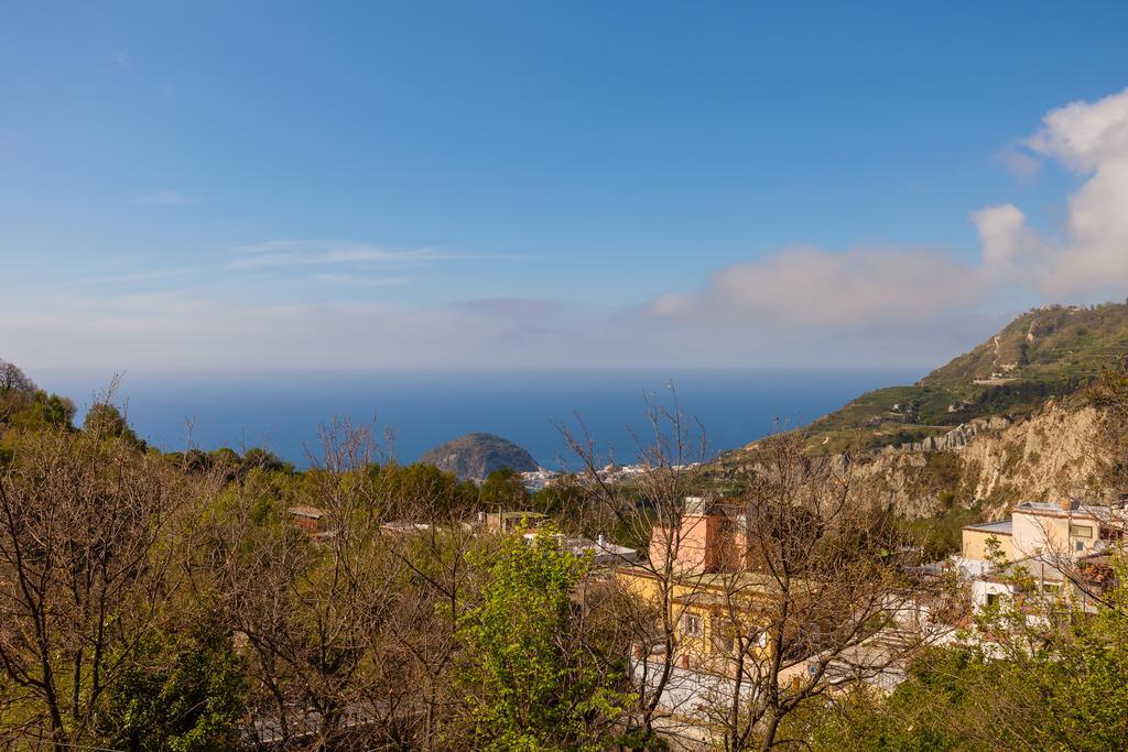 Nitrodi Experience Guest House Barano d'Ischia Exterior photo